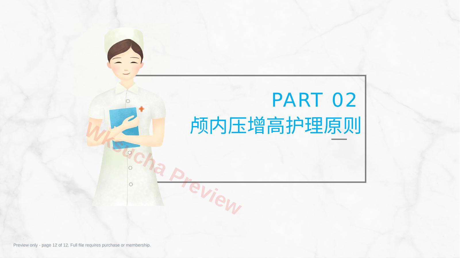 预览第 12 页