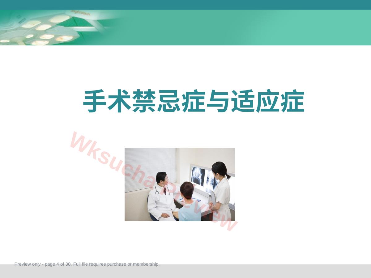 预览第 4 页