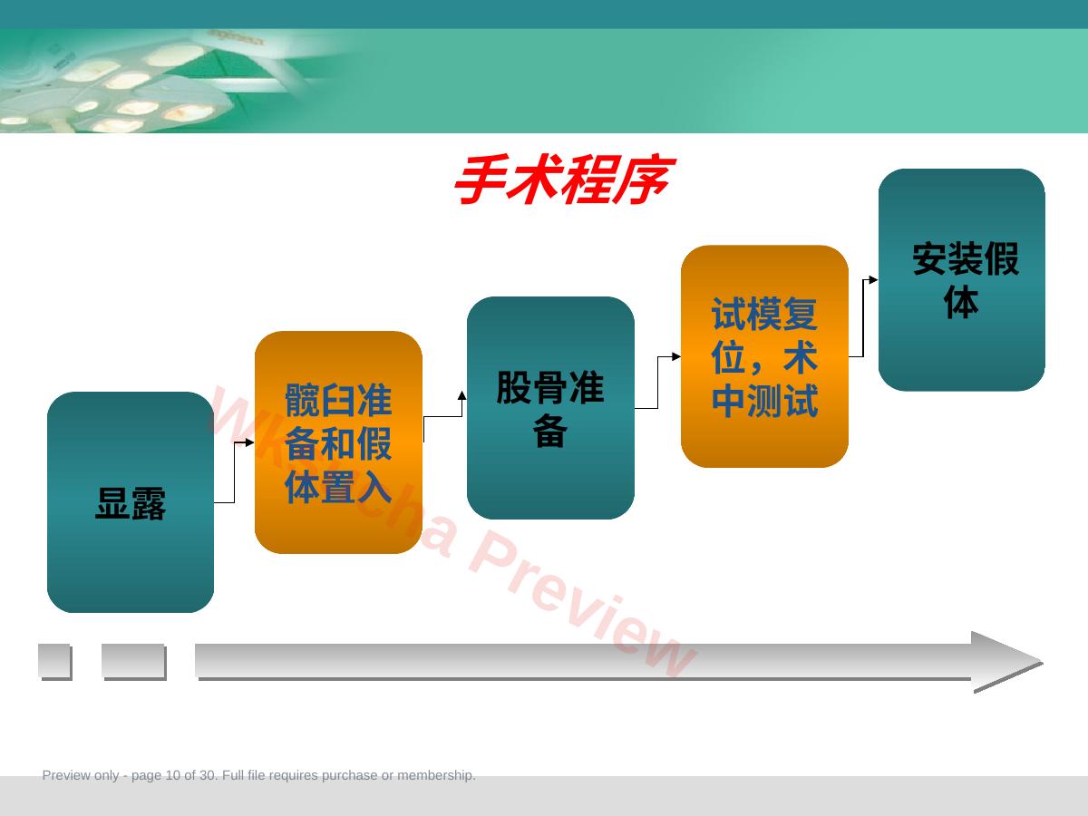 预览第 10 页