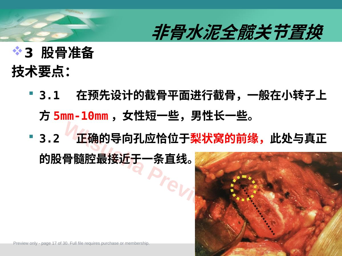 预览第 17 页