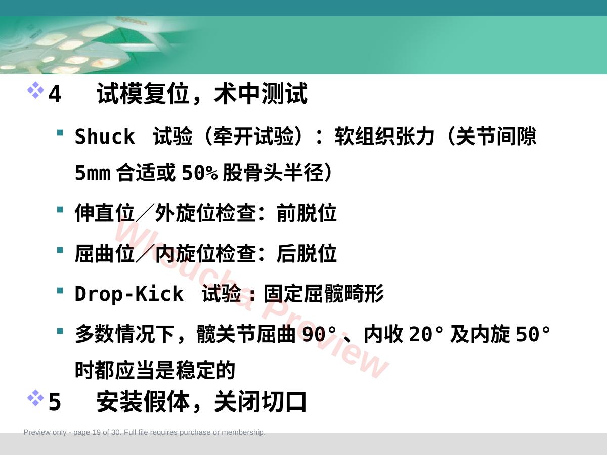 预览第 19 页