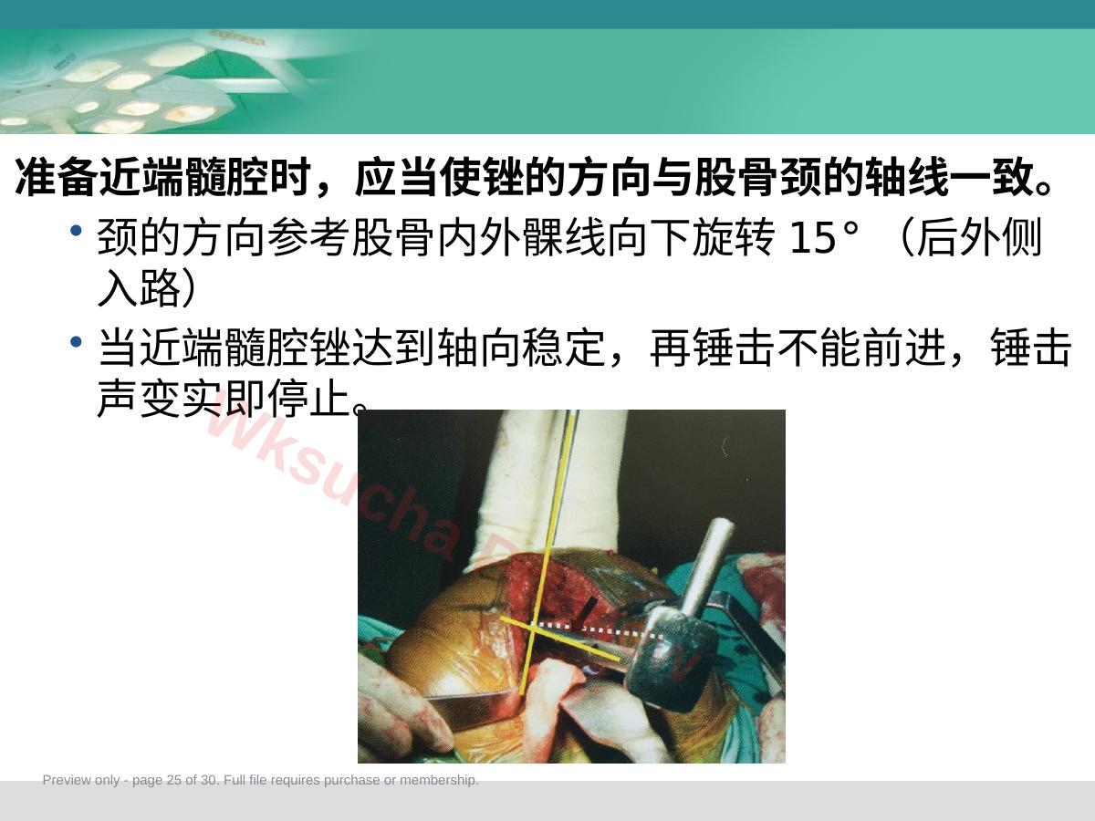 预览第 25 页