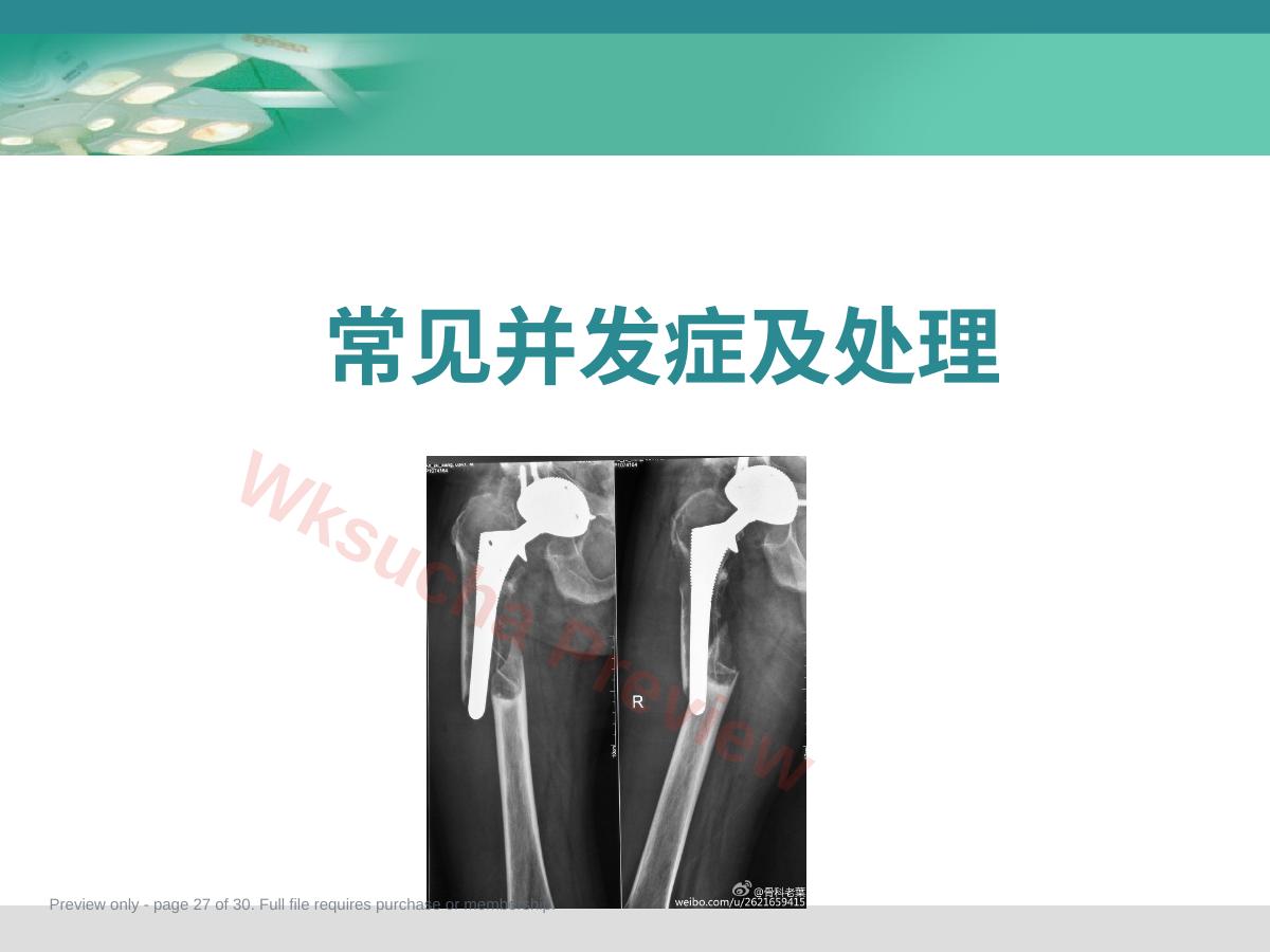 预览第 27 页