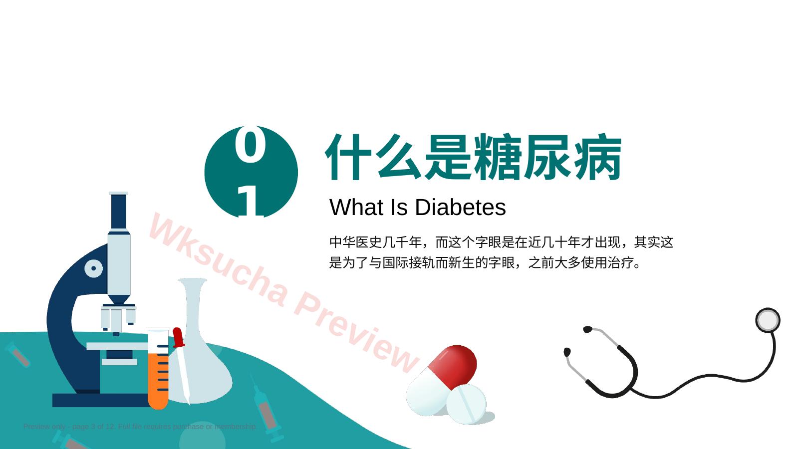 预览第 3 页
