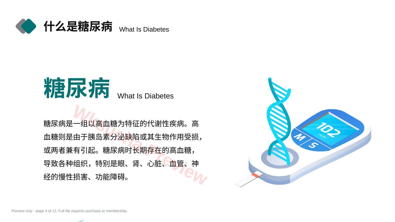 预览第 4 页