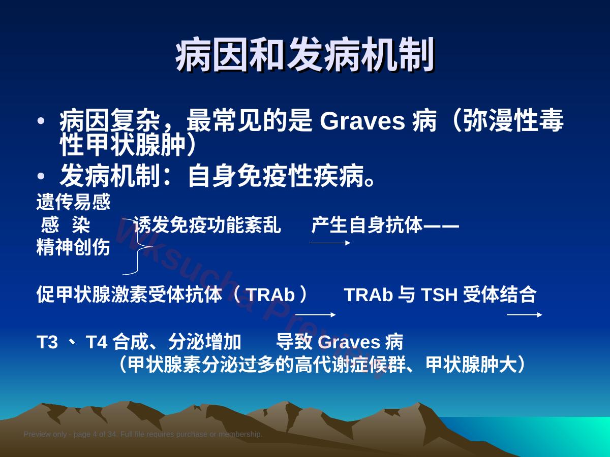预览第 4 页