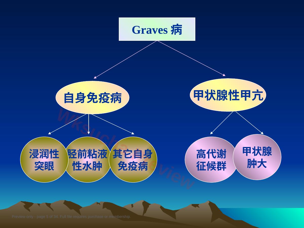 预览第 5 页