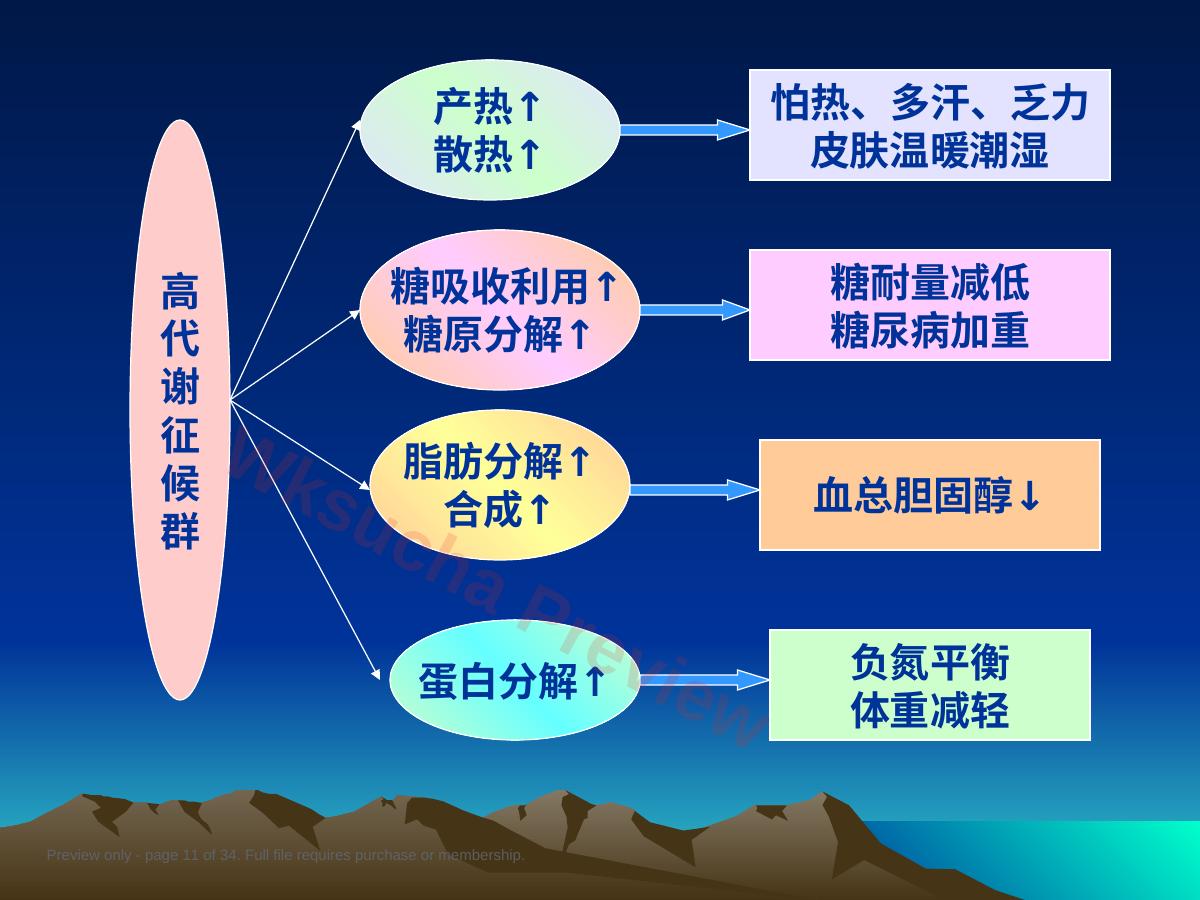 预览第 11 页