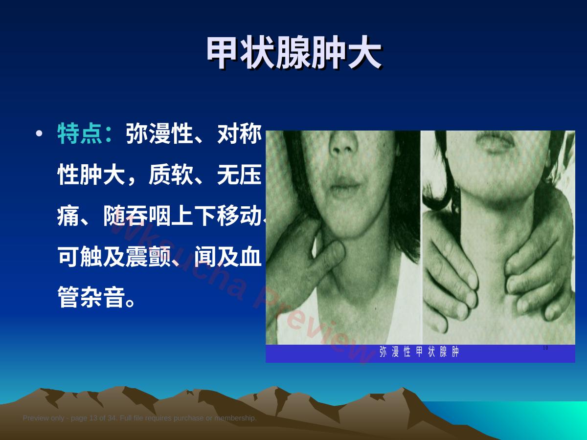 预览第 13 页