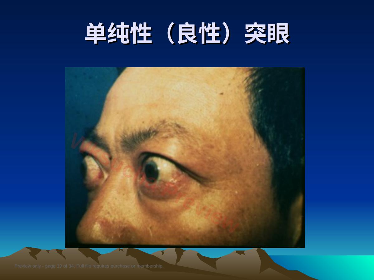 预览第 19 页