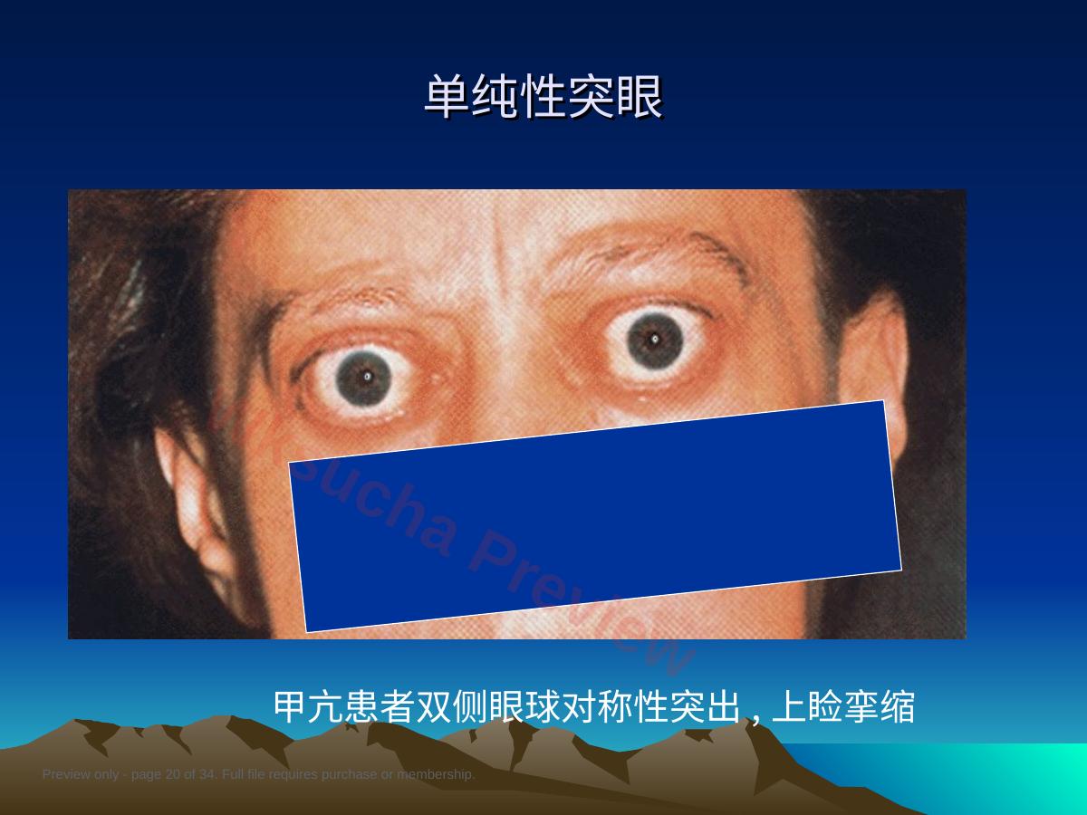预览第 20 页