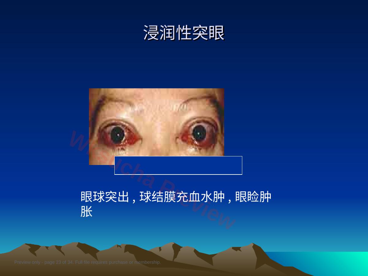预览第 23 页