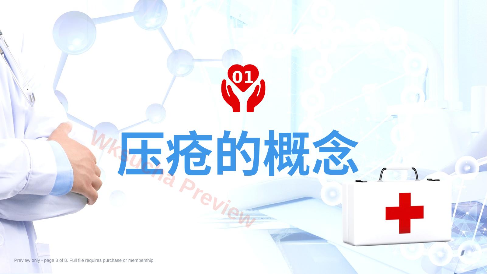 预览第 3 页