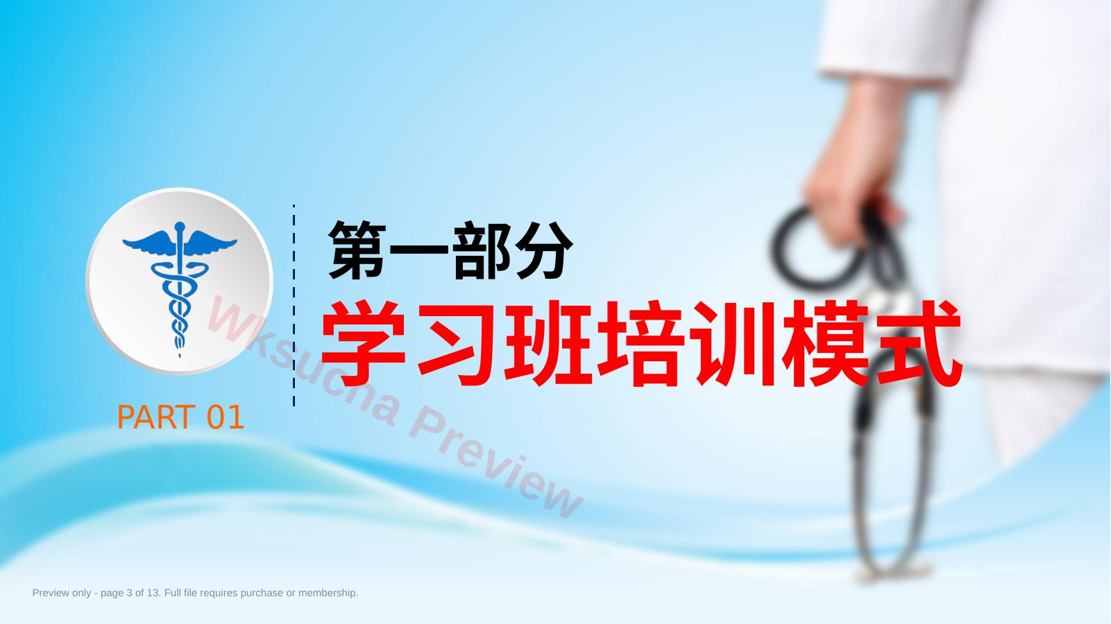 预览第 3 页