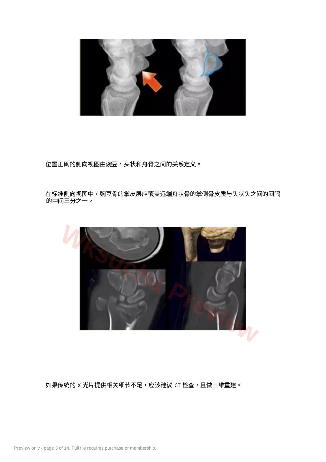 预览第 3 页