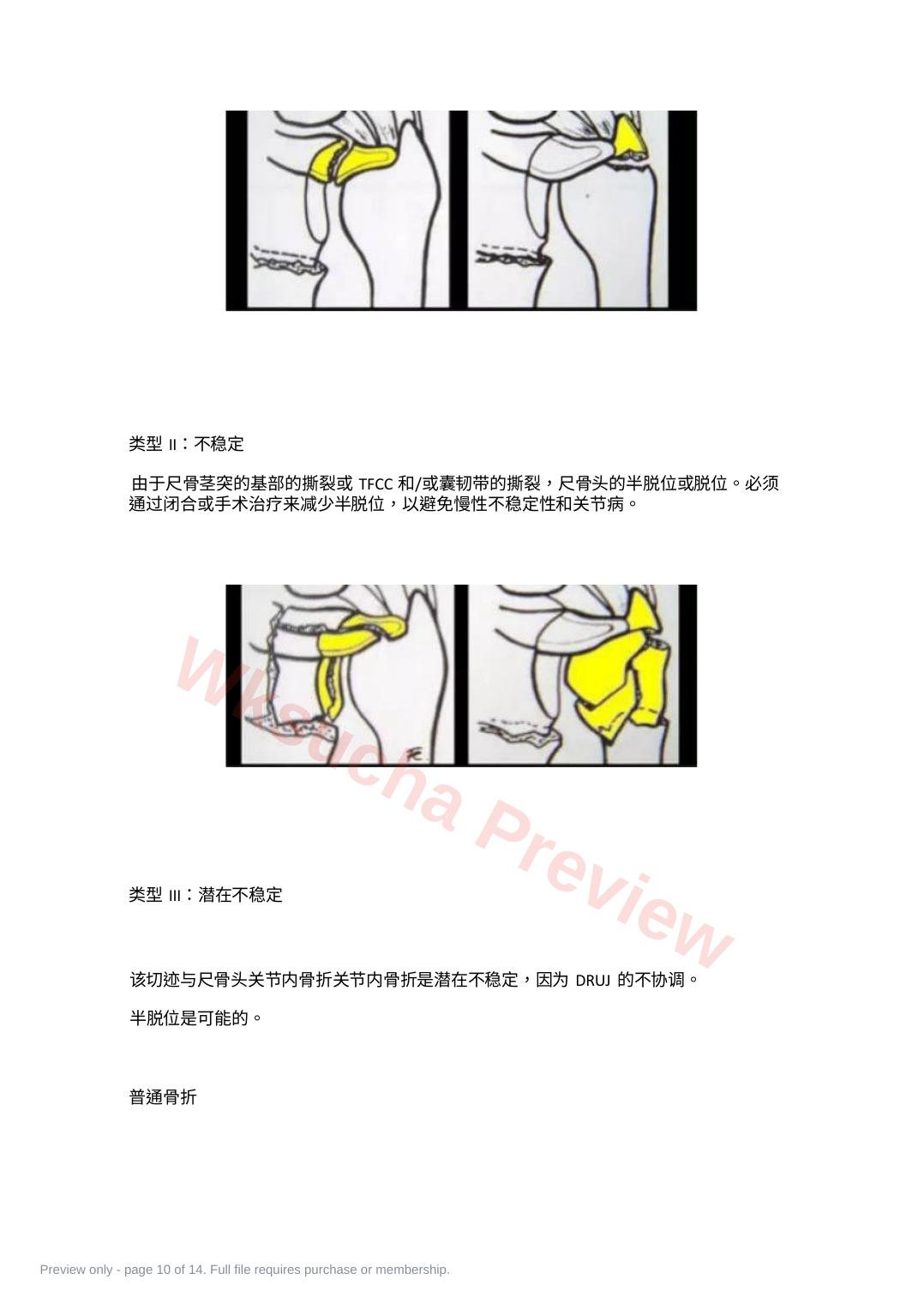 预览第 10 页