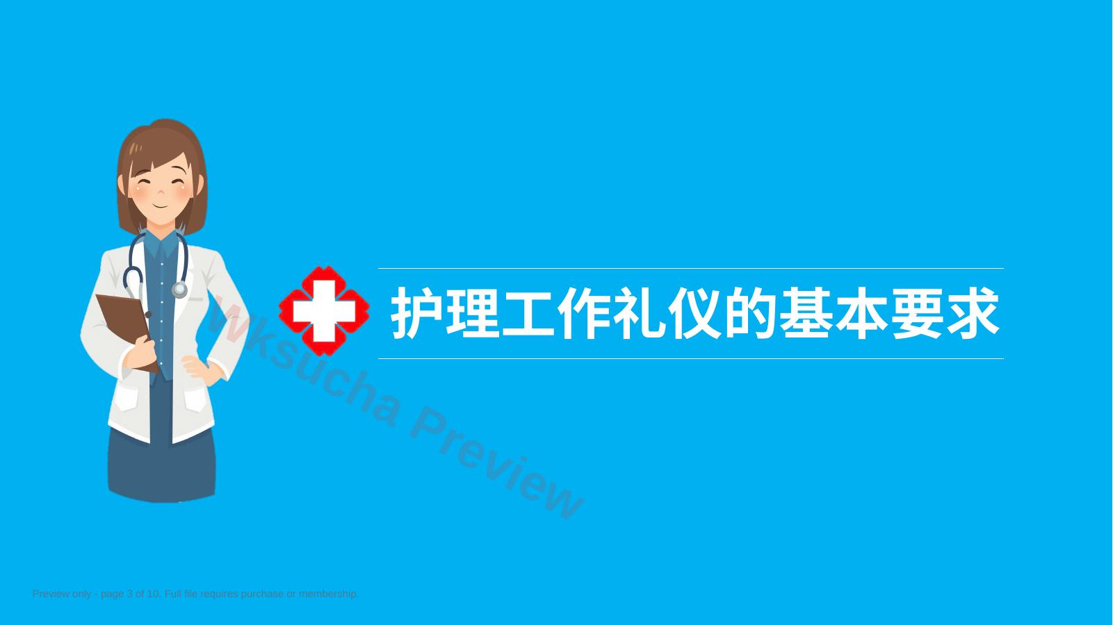 预览第 3 页