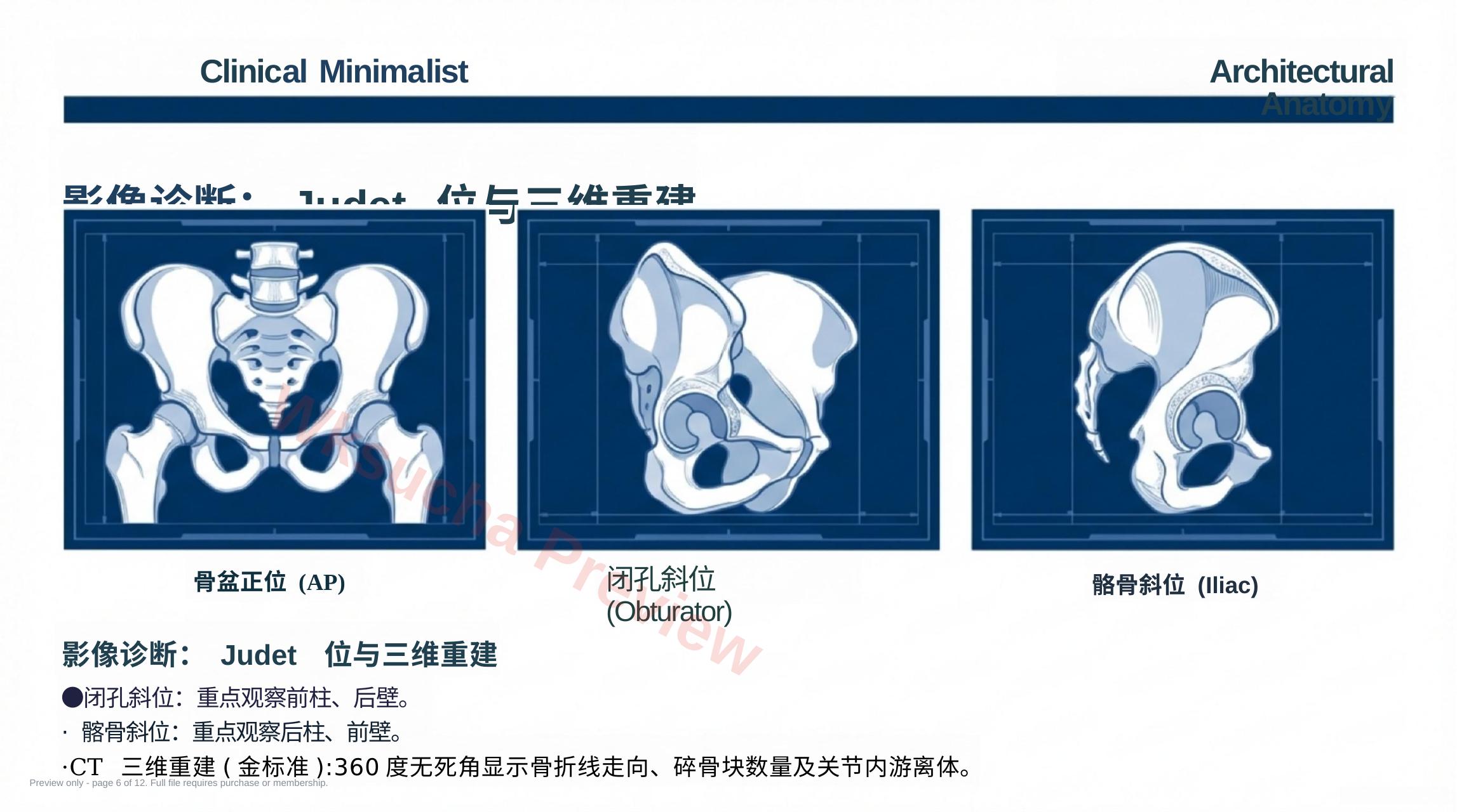预览第 6 页