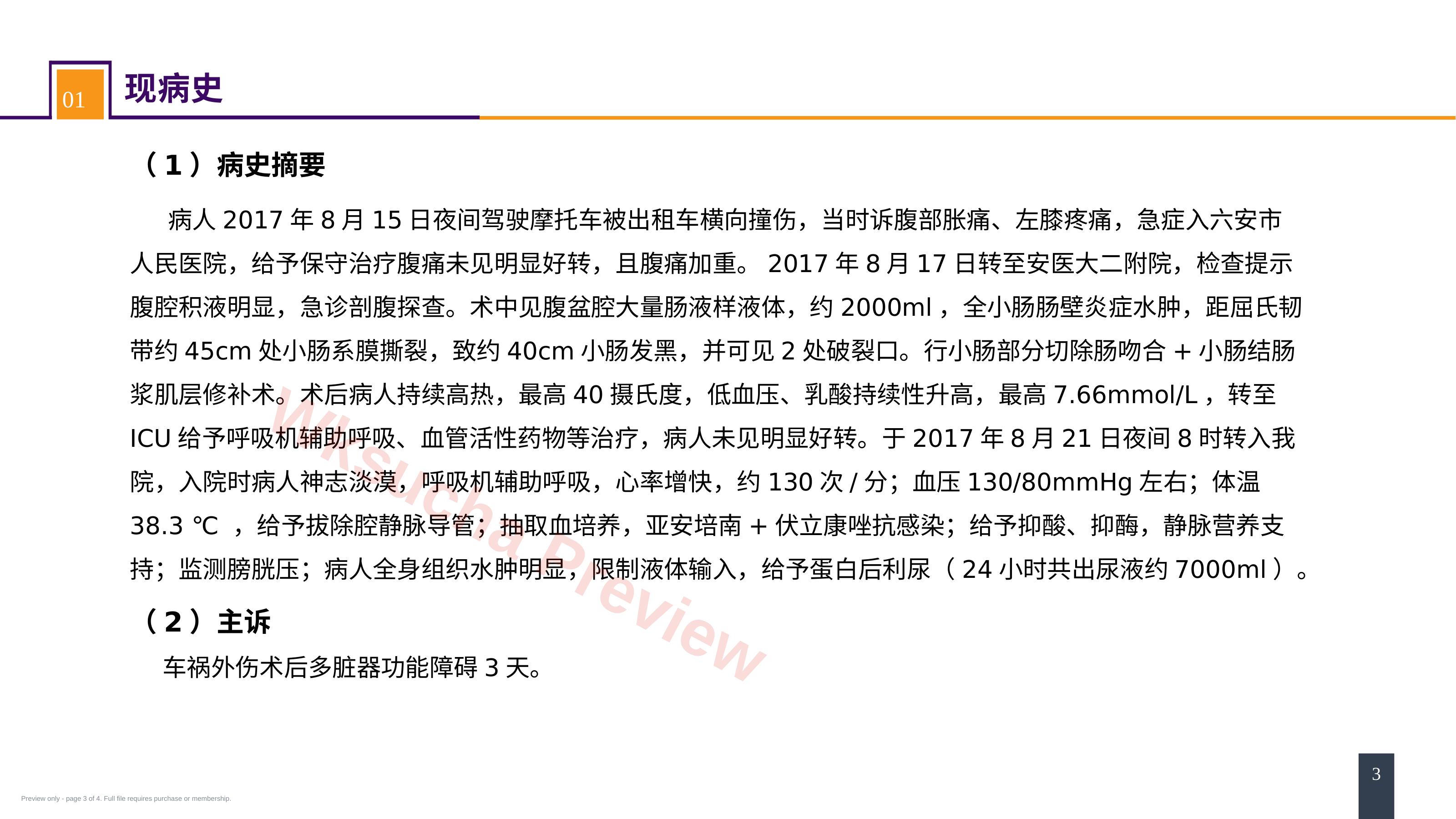 预览第 3 页