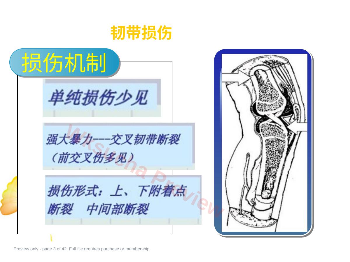 预览第 3 页