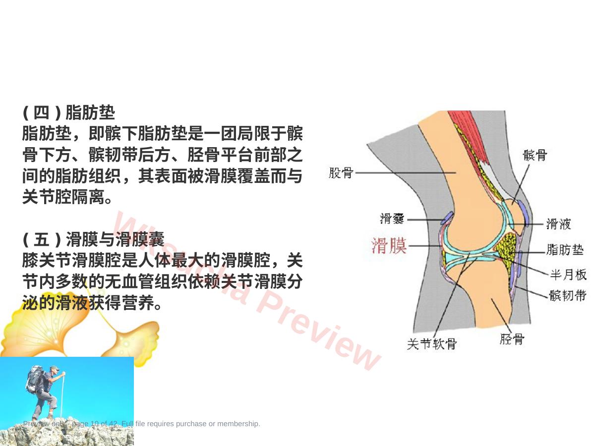 预览第 10 页