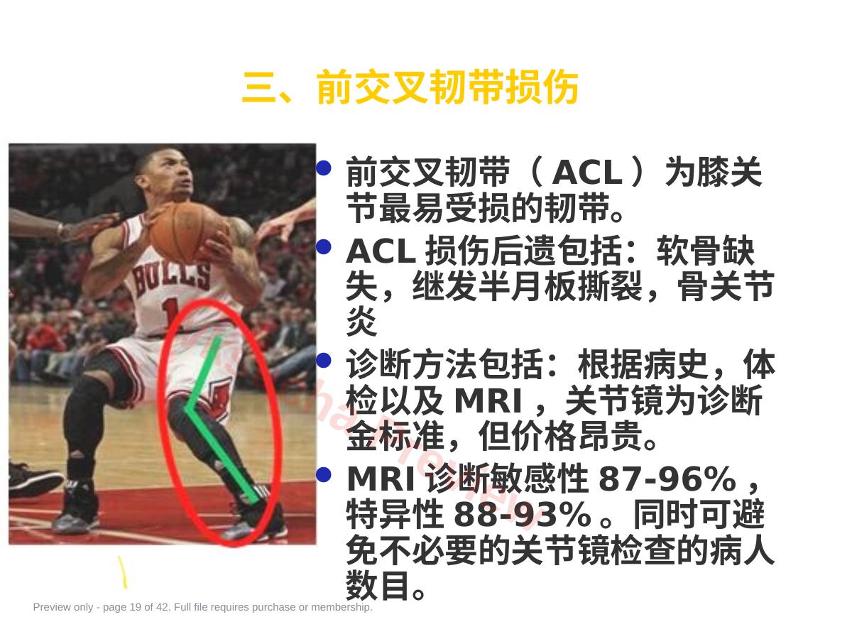 预览第 19 页