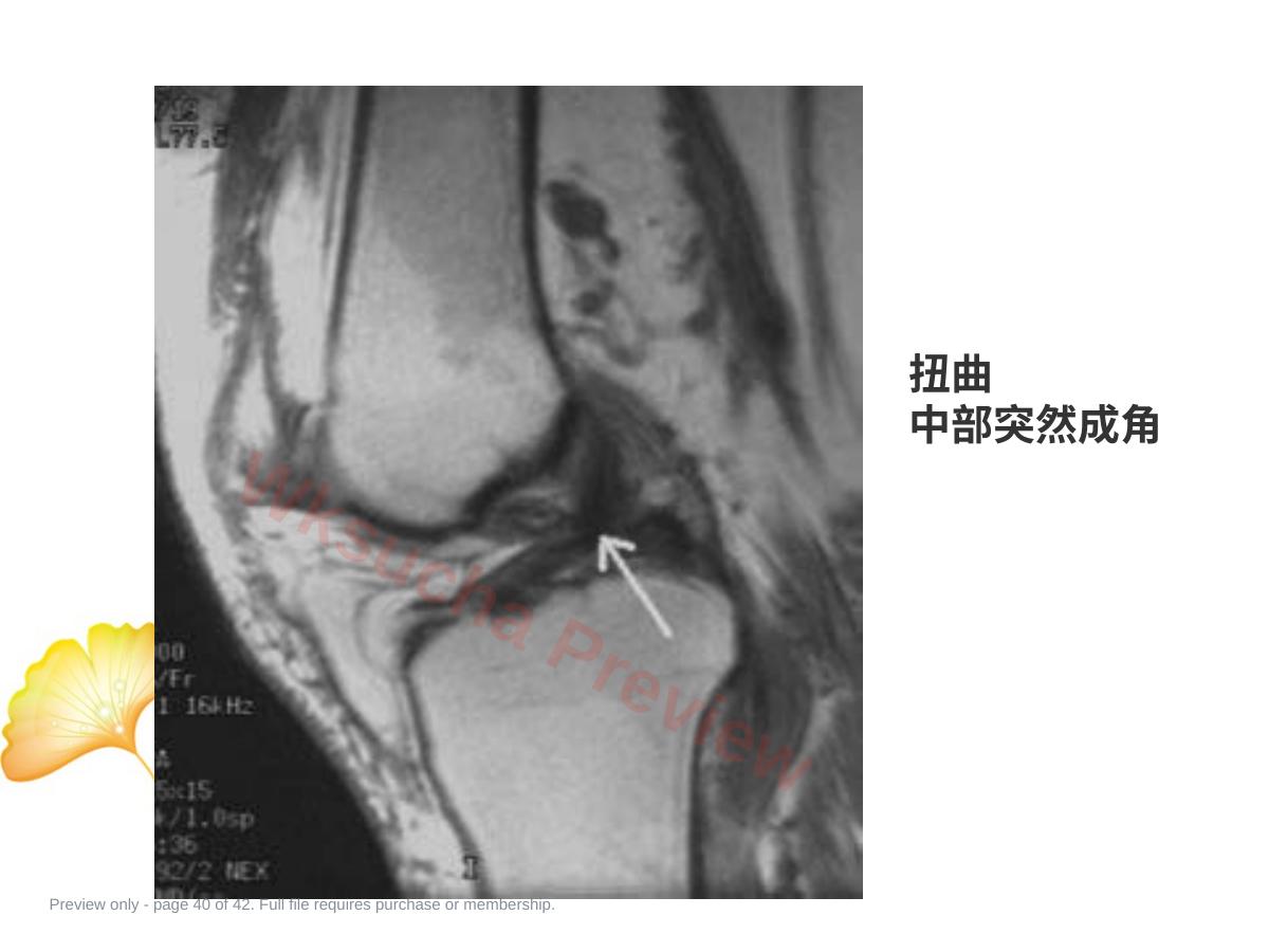 预览第 40 页