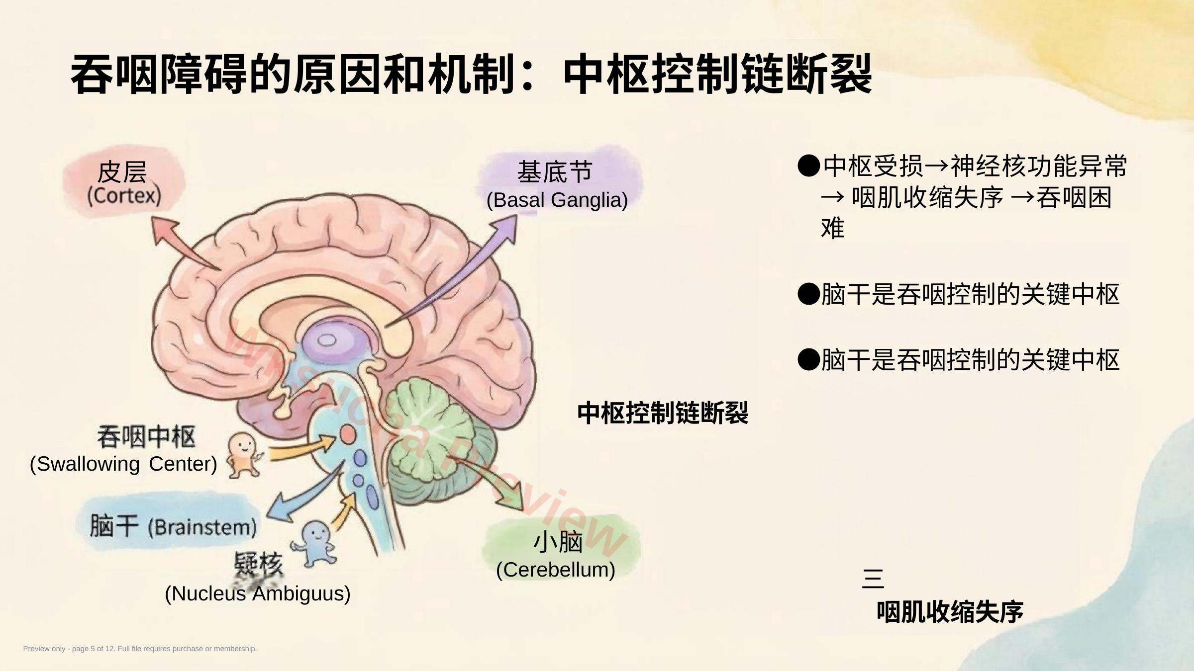 预览第 5 页