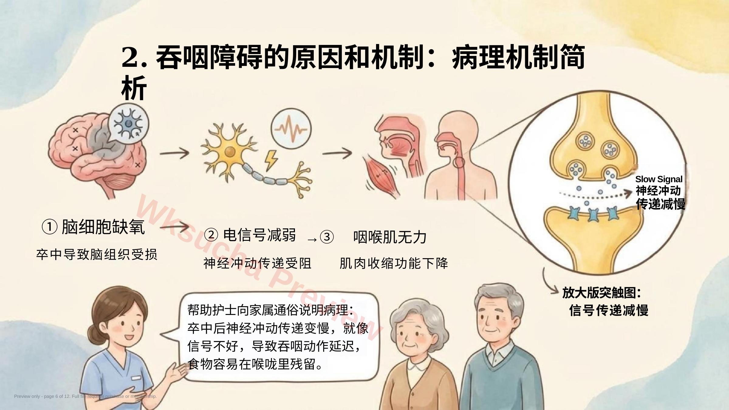 预览第 6 页
