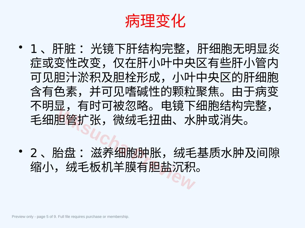预览第 5 页