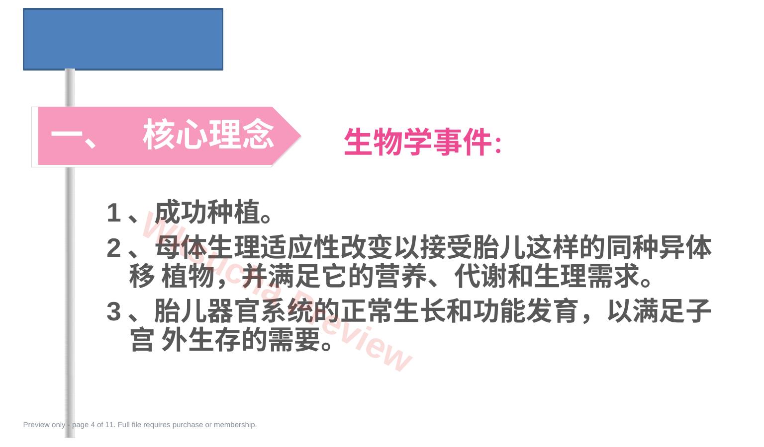 预览第 4 页