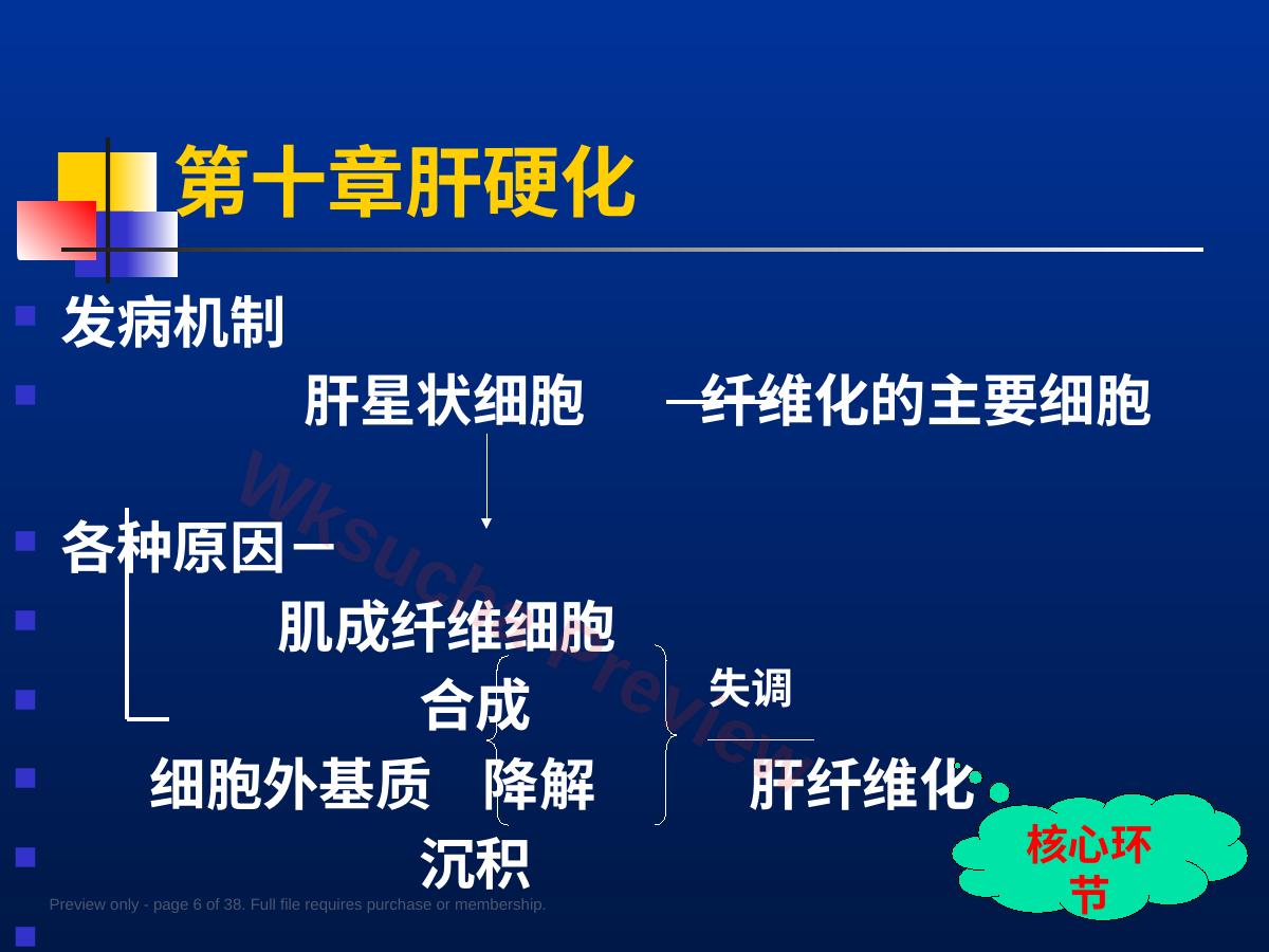 预览第 6 页