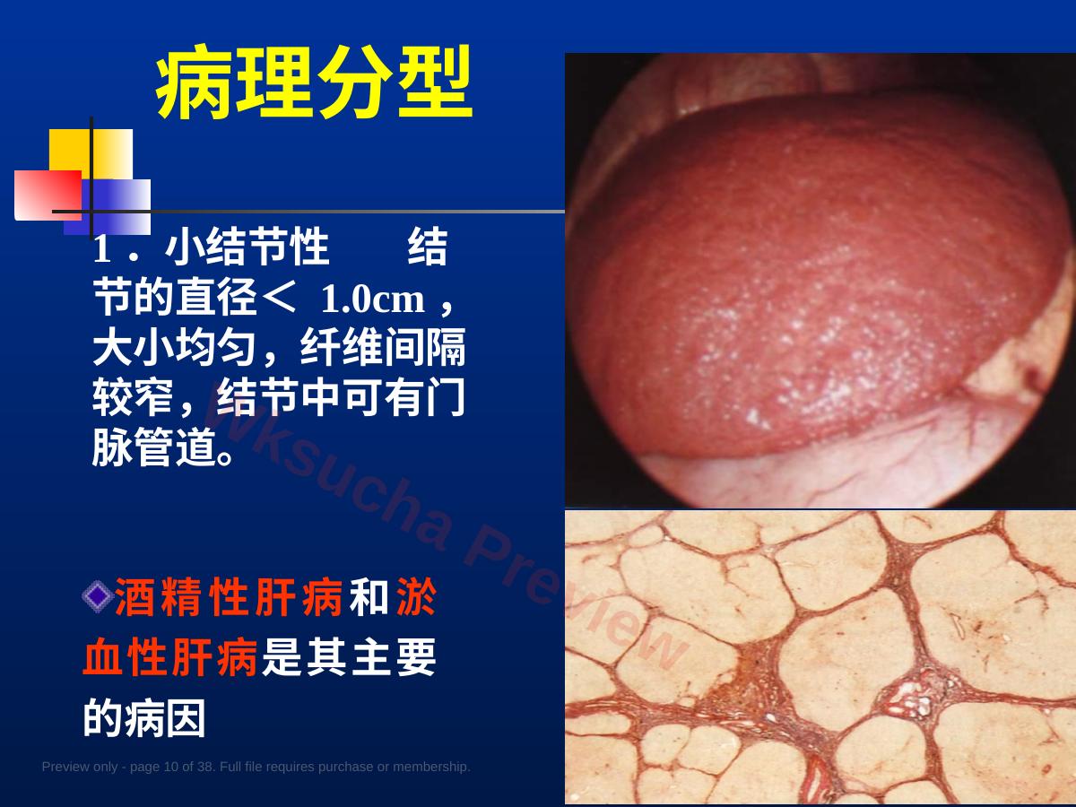 预览第 10 页