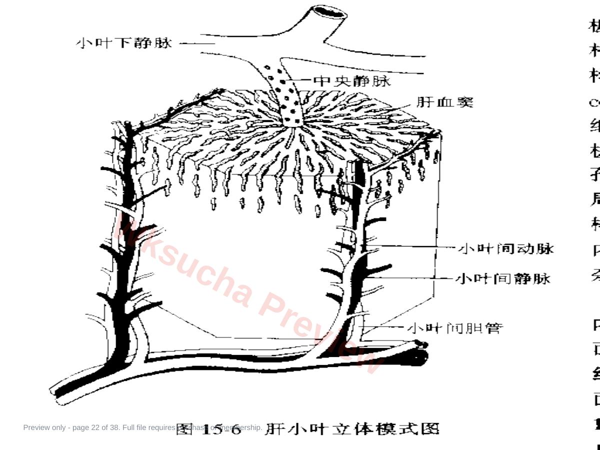 预览第 22 页