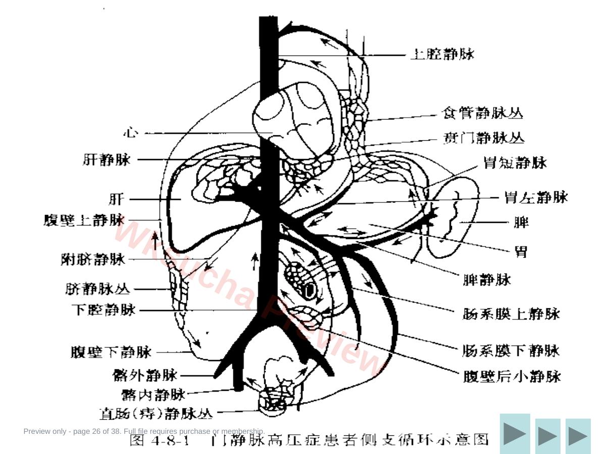 预览第 26 页