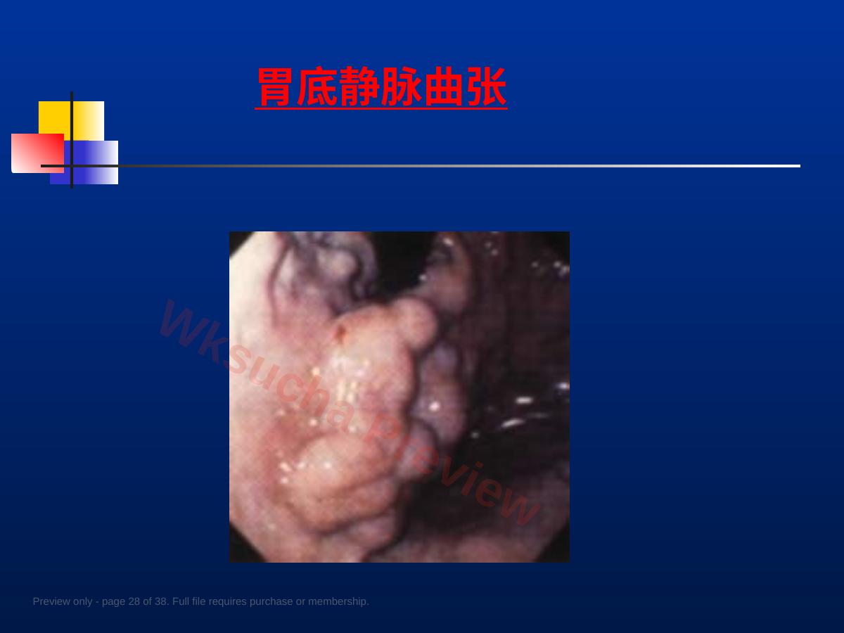 预览第 28 页