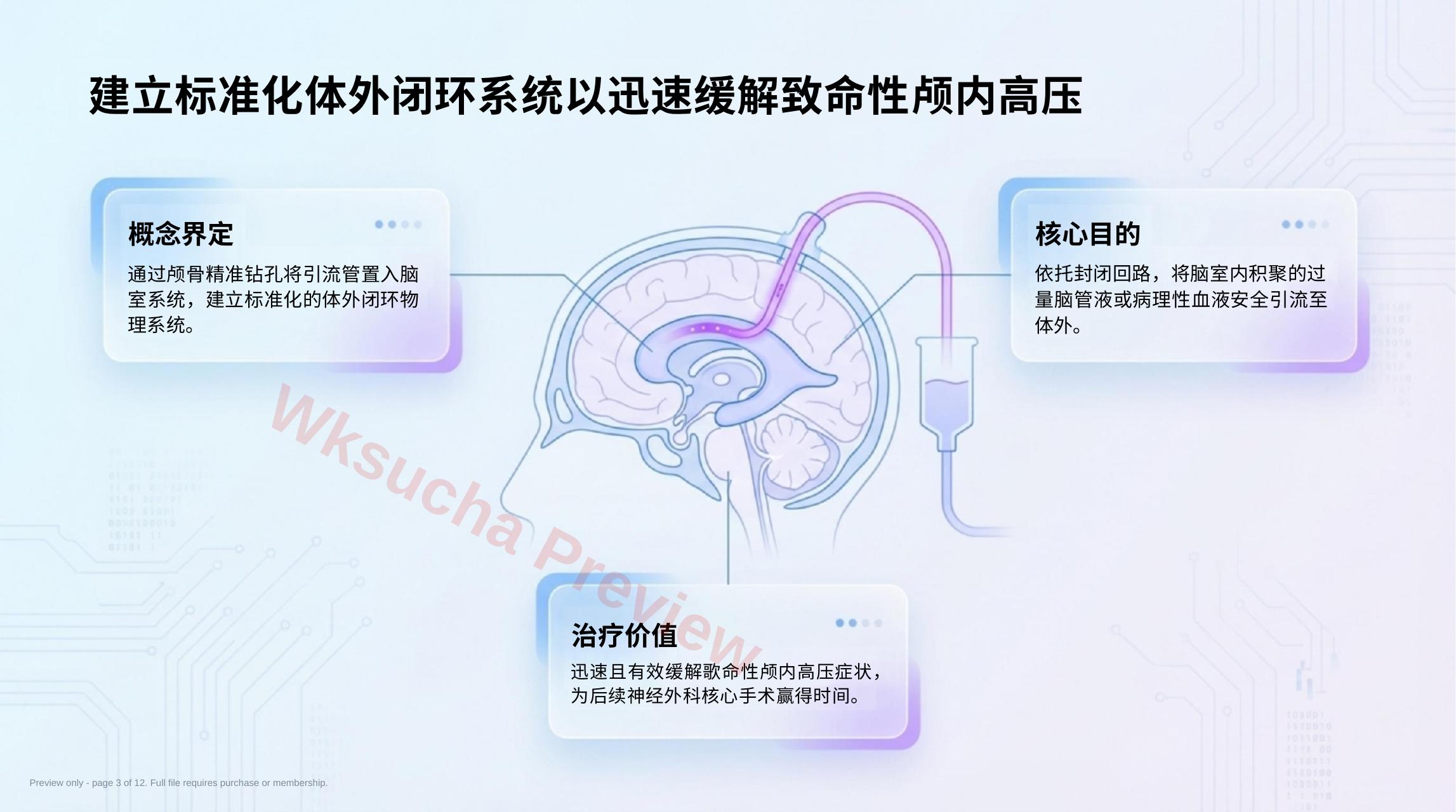 预览第 3 页