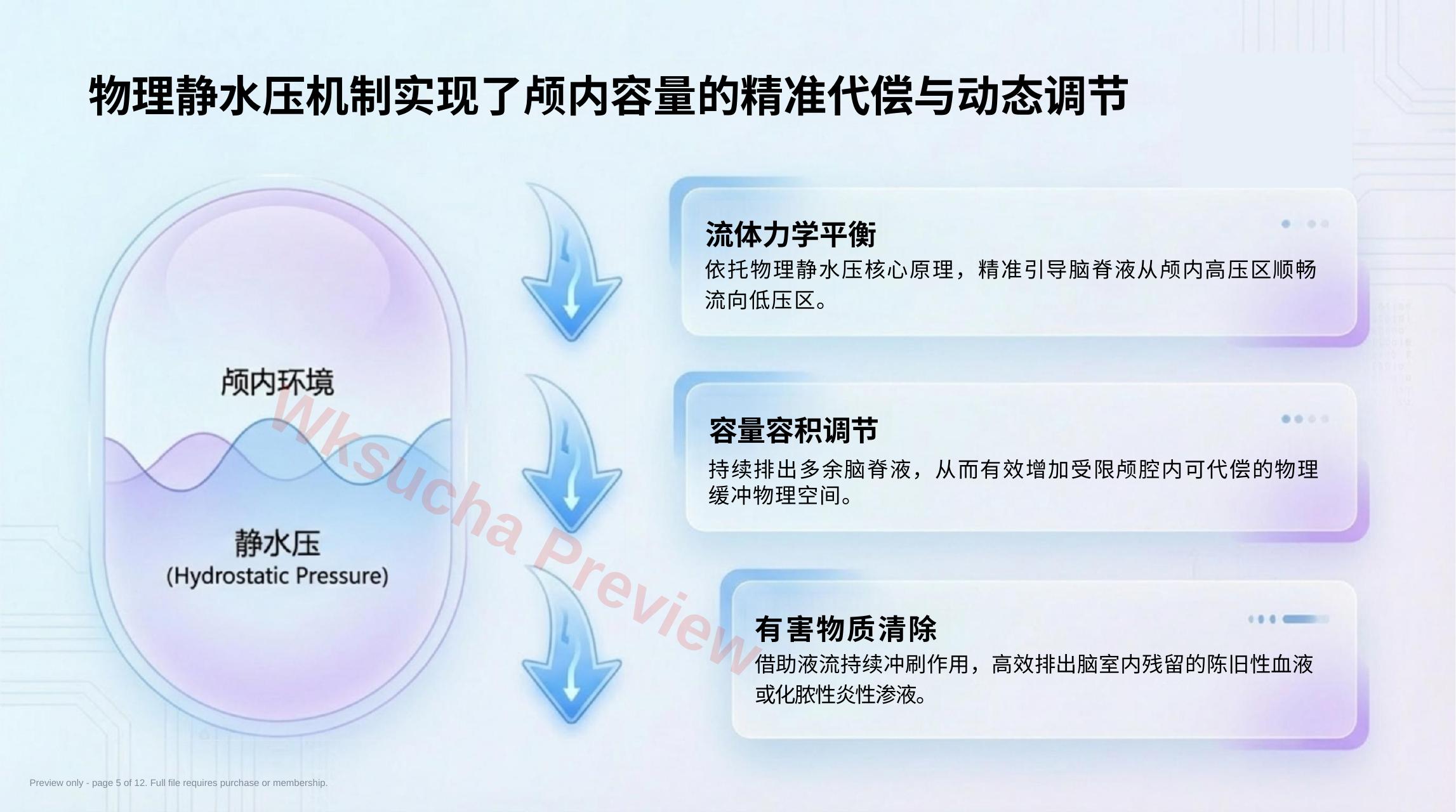 预览第 5 页