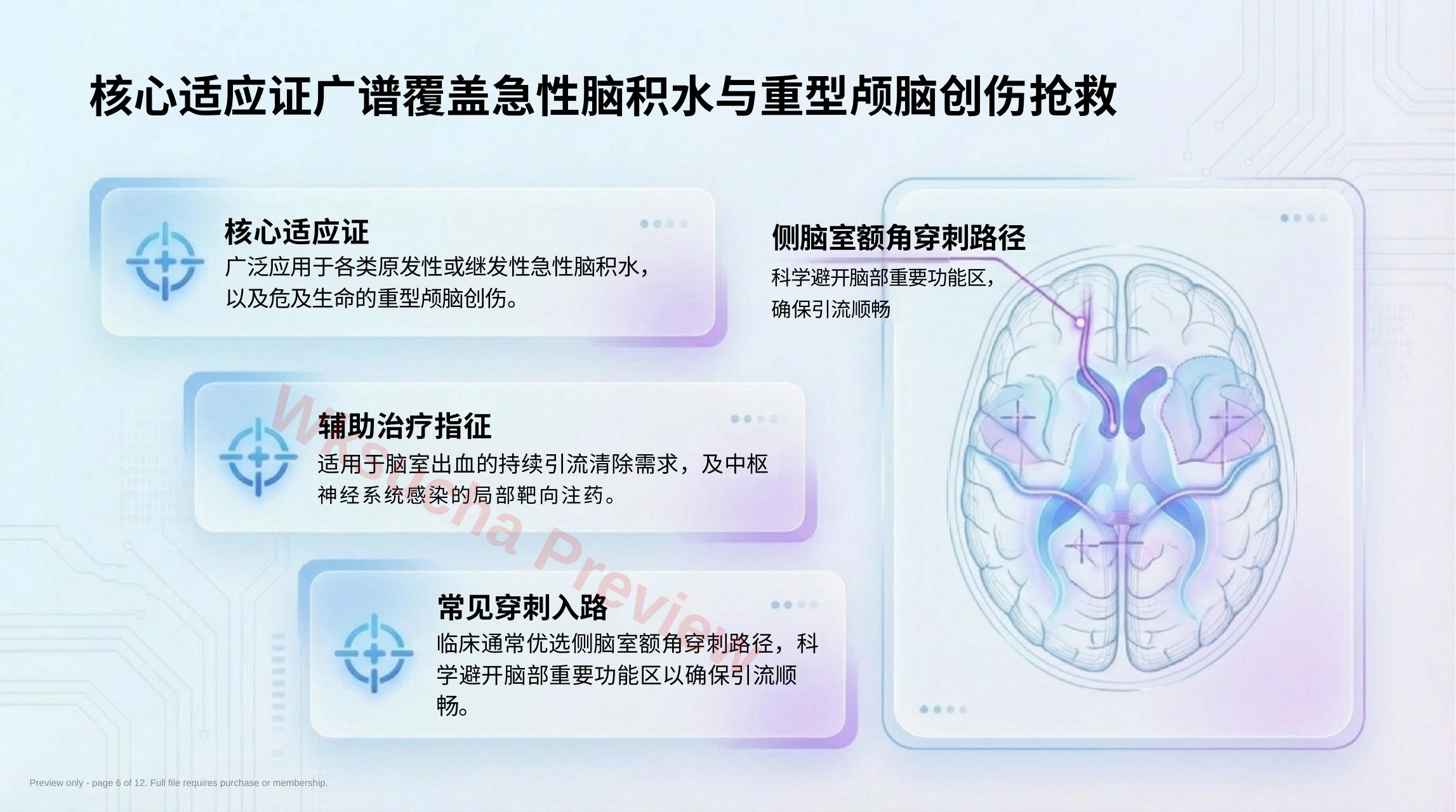 预览第 6 页