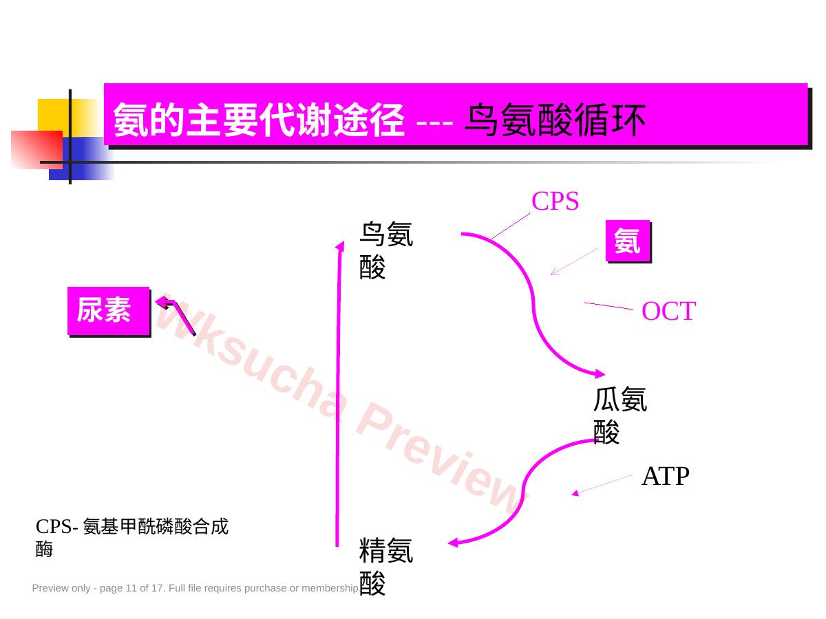 预览第 11 页