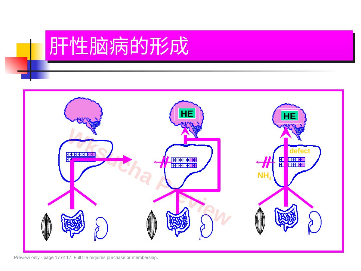预览第 17 页