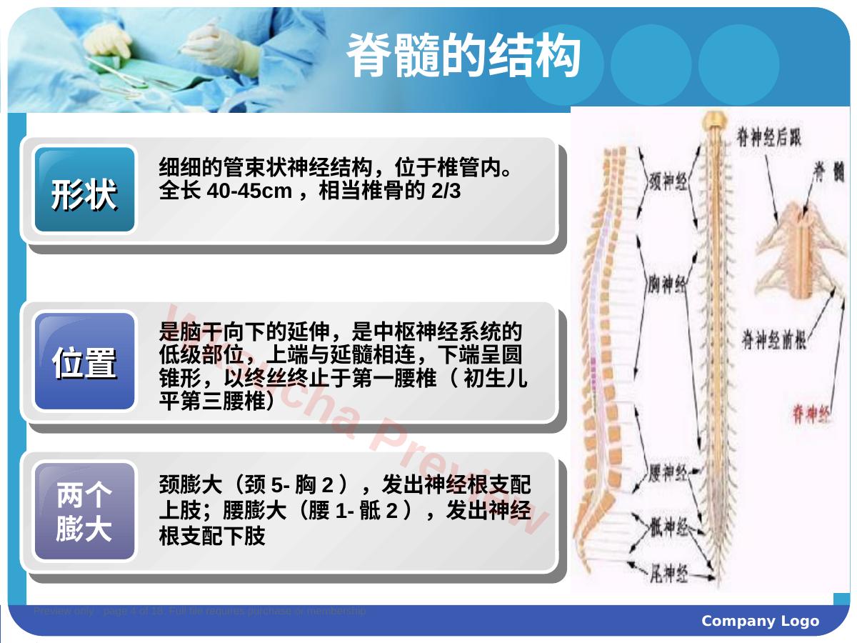 预览第 4 页