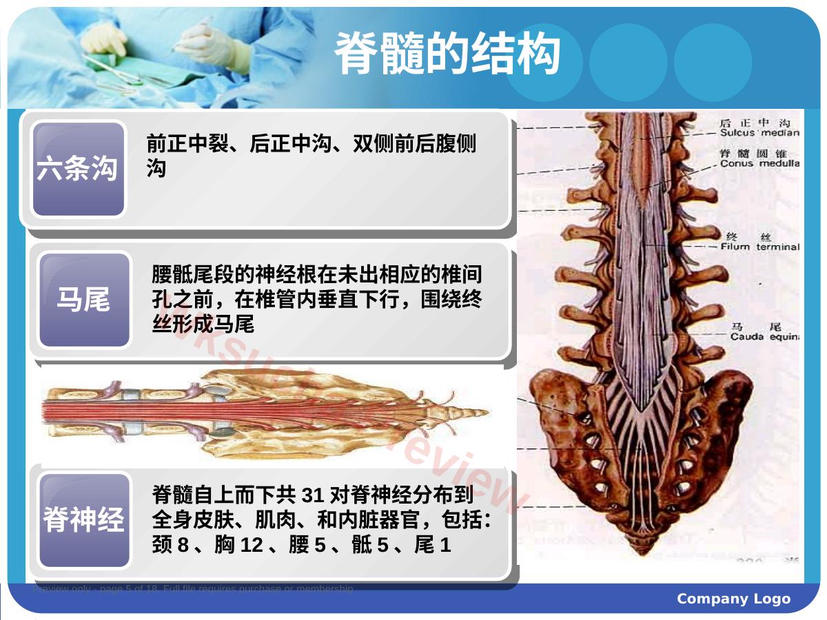 预览第 5 页