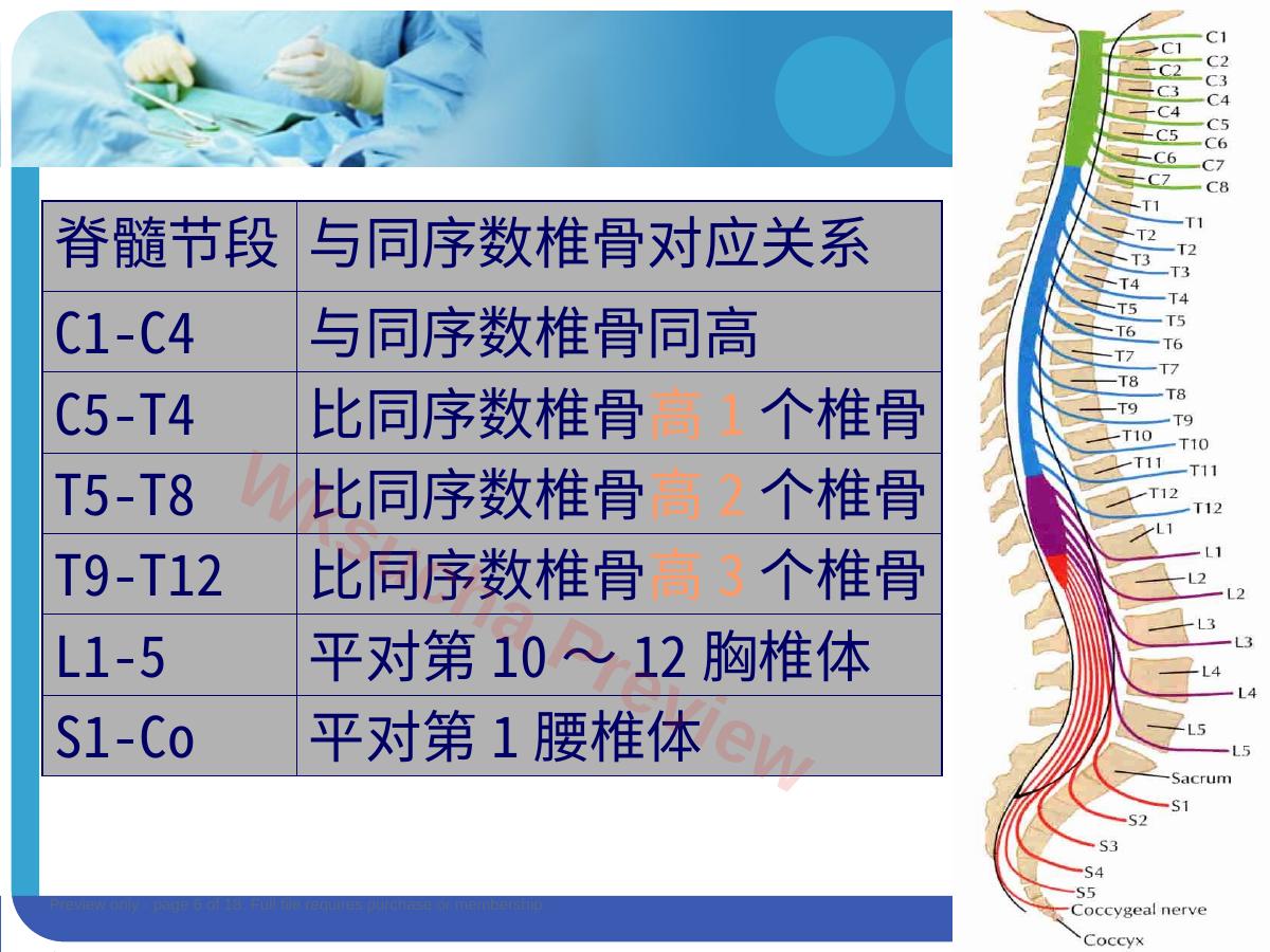 预览第 6 页
