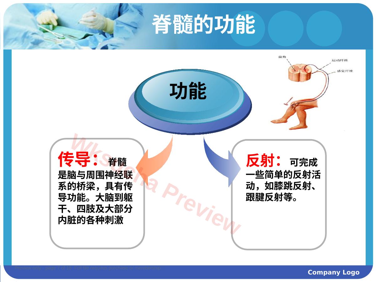 预览第 7 页