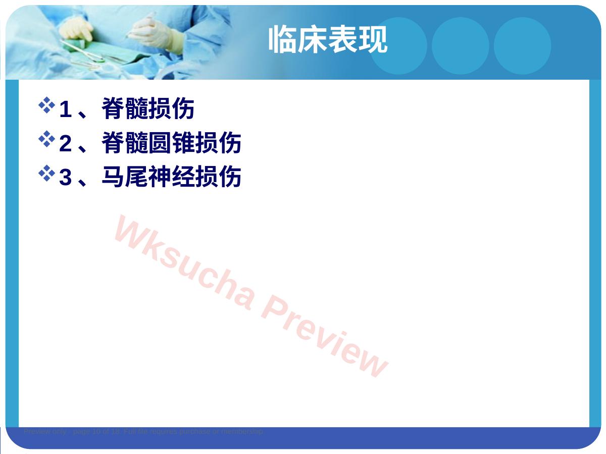 预览第 10 页