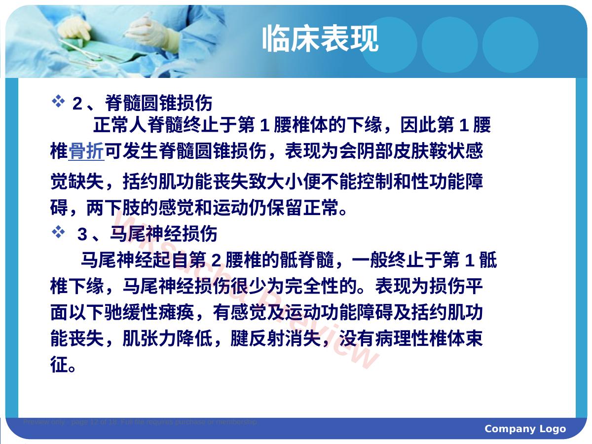 预览第 12 页