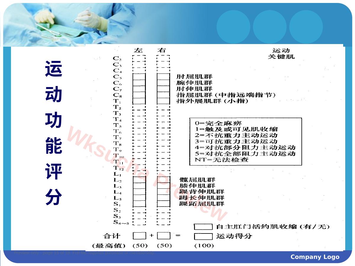 预览第 15 页