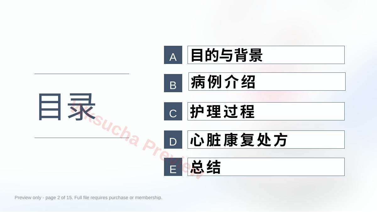 预览第 2 页