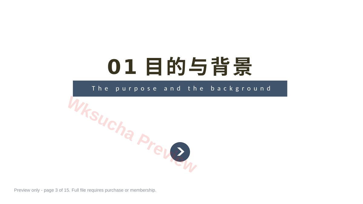 预览第 3 页